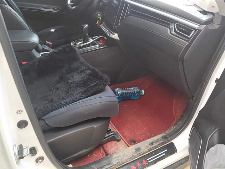 Фото 8 - Dongfeng Forthing T5