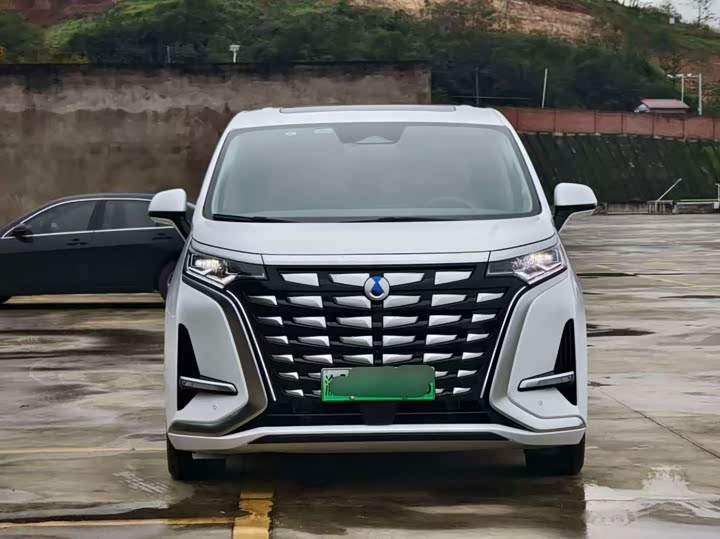 Фото 1 - Denza D9