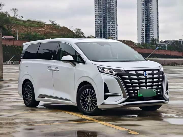 Фото 3 - Denza D9