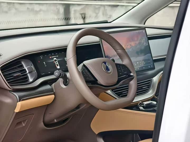 Фото 4 - Denza D9