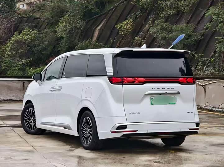 Фото 6 - Denza D9