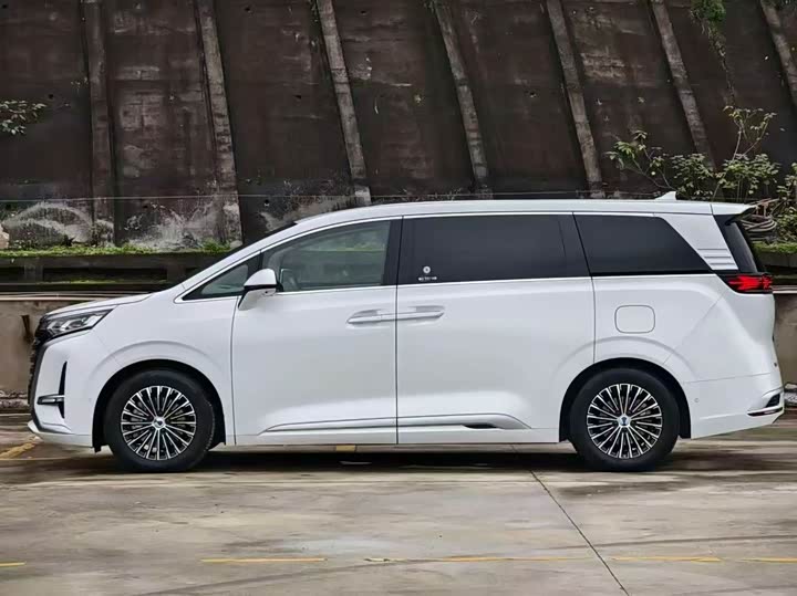 Фото 9 - Denza D9