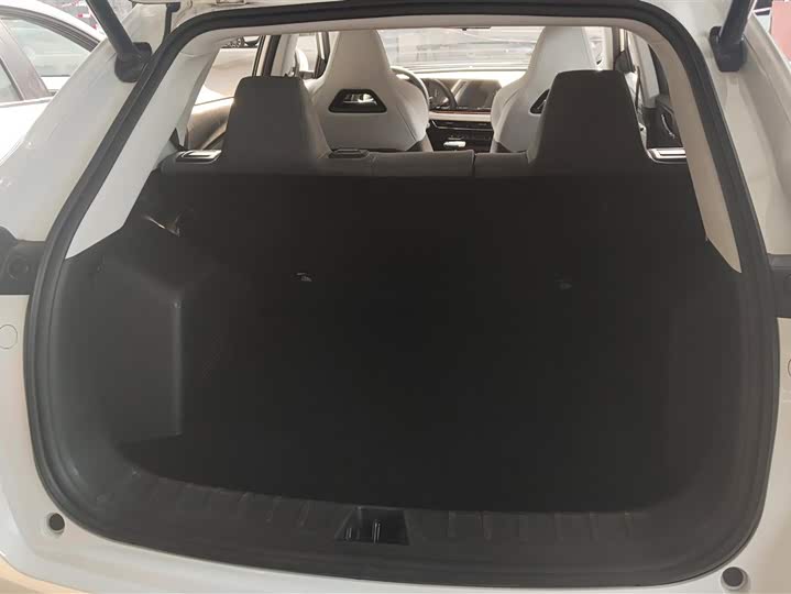 Фото 4 - Changan Oshan X5 Plus