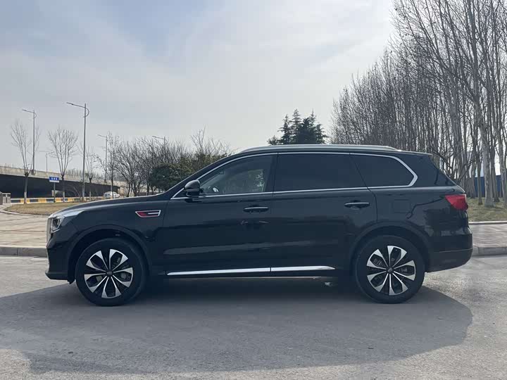 Photo 6 - Hongqi HS7