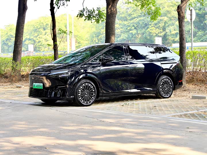 Фото 1 - XPeng X9