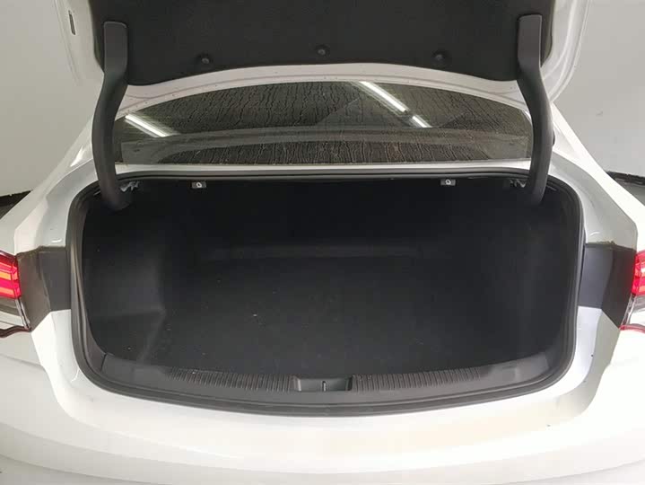 Фото 4 - Buick Regal