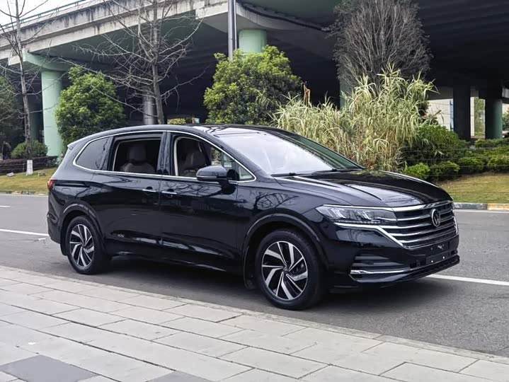 Photo 3 - Volkswagen Viloran