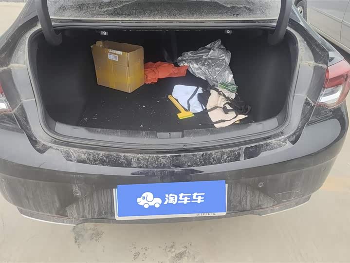 Фото 4 - Buick Regal