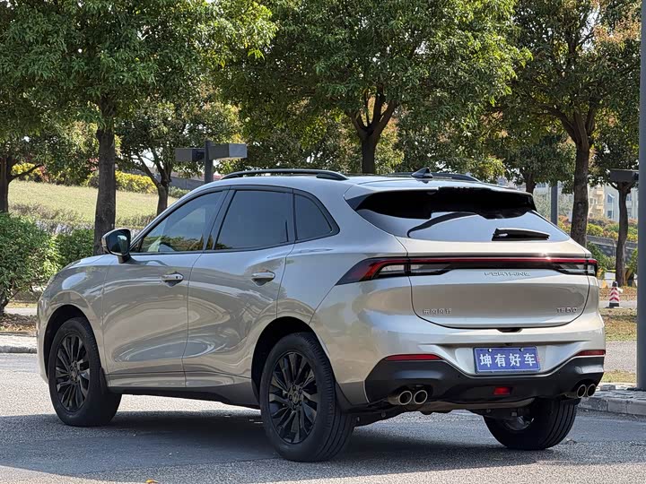 Фото 4 - Dongfeng Forthing T5 EVO