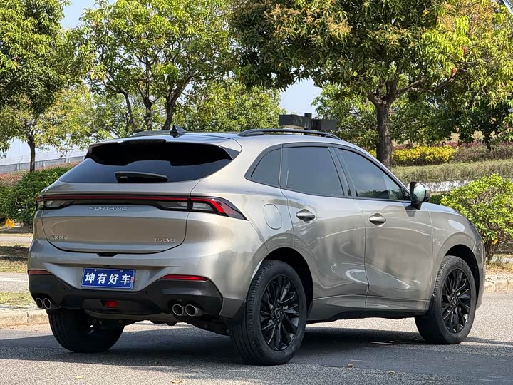 Фото 6 - Dongfeng Forthing T5 EVO