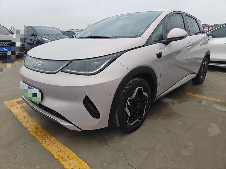 Фото 1 - BYD Dolphin
