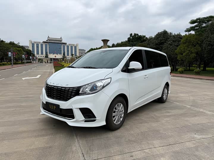 Фото 1 - Maxus G10