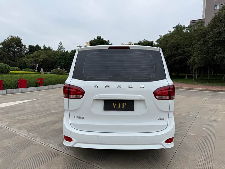 Фото 8 - Maxus G10