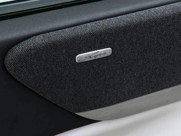 Фото 7 - XPeng X9