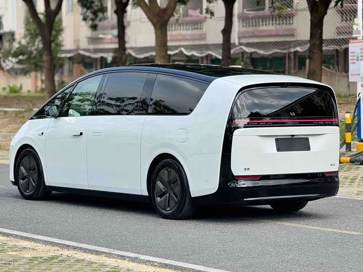 Фото 4 - LiXiang Mega