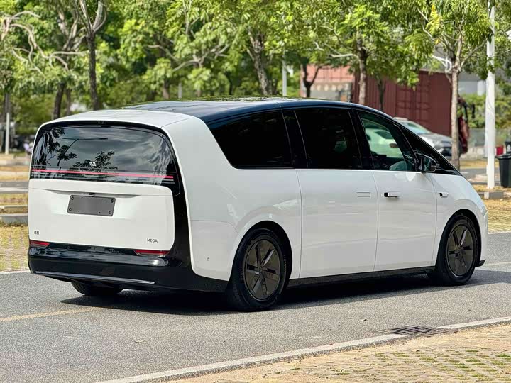 Фото 6 - LiXiang Mega