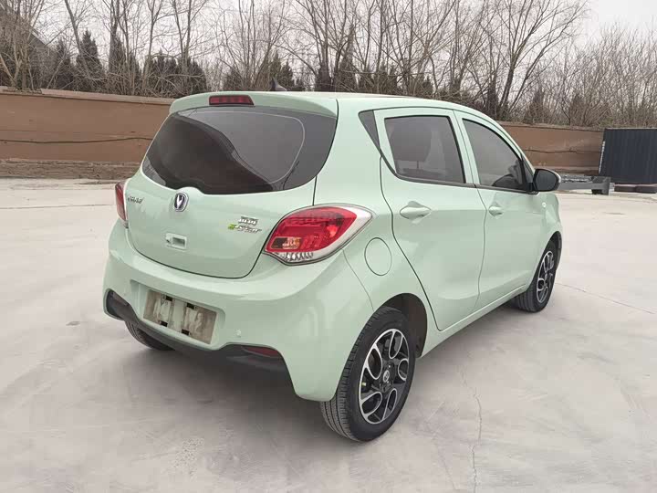 Фото 4 - Changan BenBen E-Star