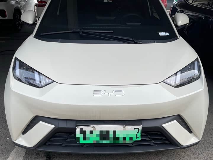 Photo 1 - BYD Seagull