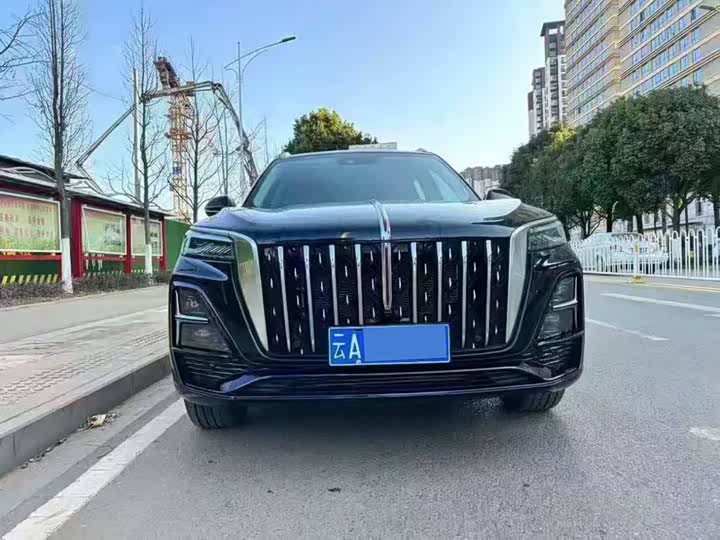 Фото 2 - Hongqi HS5