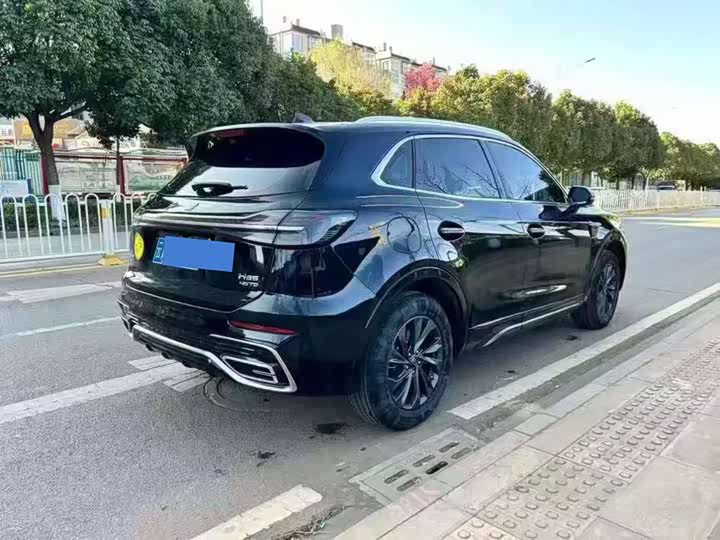 Фото 7 - Hongqi HS5