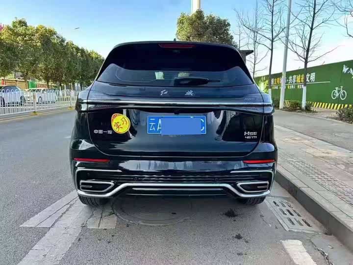 Фото 9 - Hongqi HS5