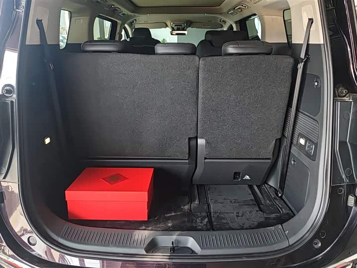 Фото 4 - Hongqi HQ9 Hybrid