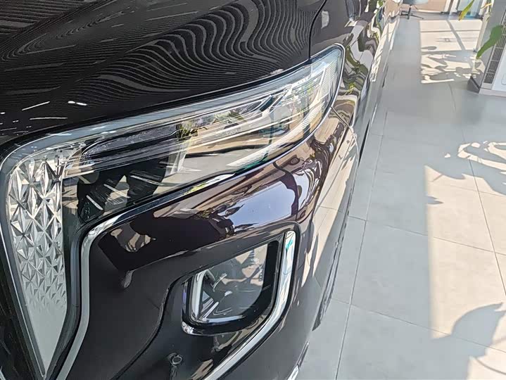 Фото 5 - Hongqi HQ9 Hybrid