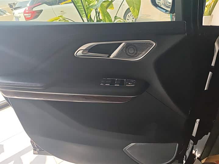 Фото 7 - Hongqi HQ9 Hybrid