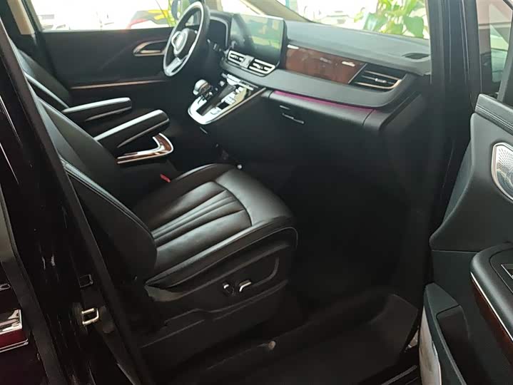 Фото 8 - Hongqi HQ9 Hybrid