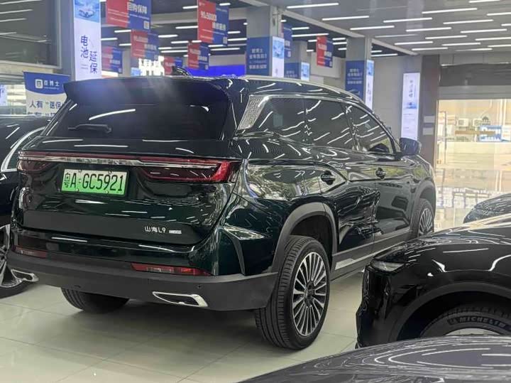 Фото 7 - Jetour Shanhai L9