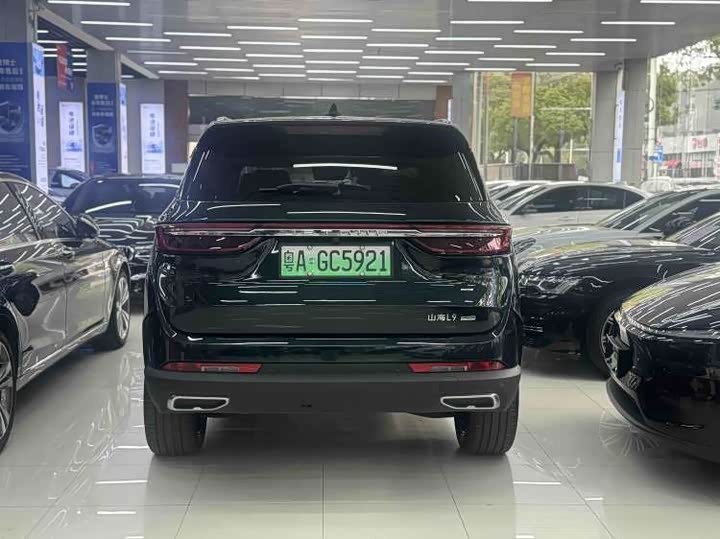 Фото 8 - Jetour Shanhai L9