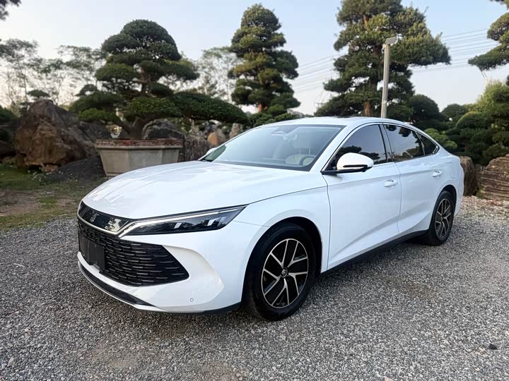 Фото 1 - BYD Qin L