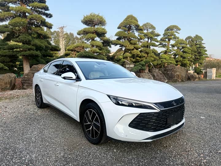 Фото 3 - BYD Qin L