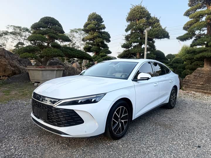 Фото 4 - BYD Qin L