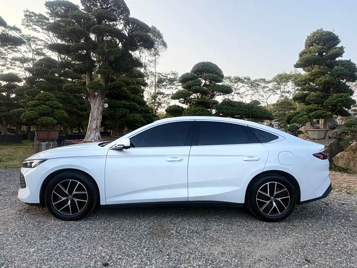 Фото 5 - BYD Qin L