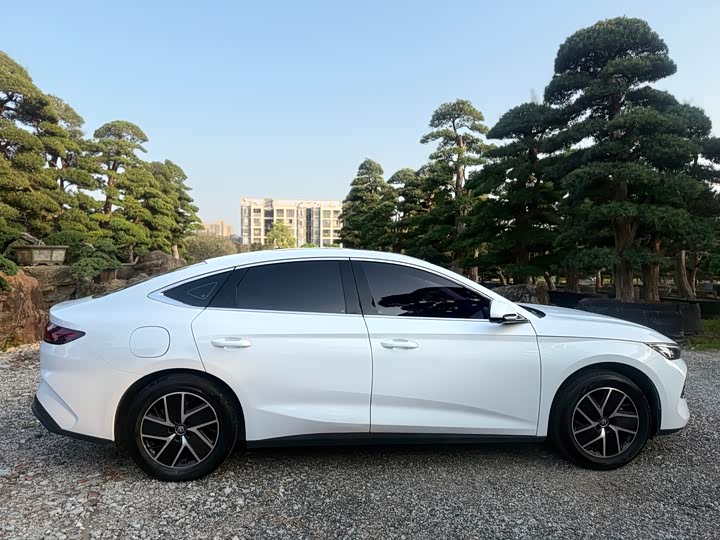 Фото 6 - BYD Qin L