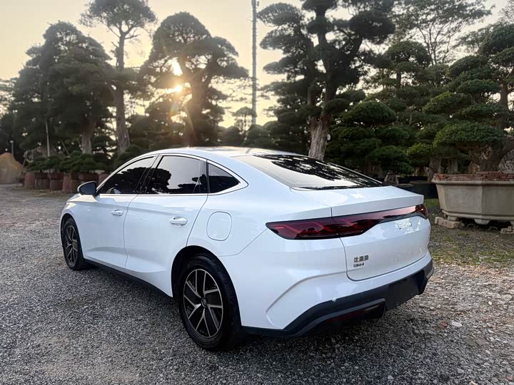 Фото 7 - BYD Qin L