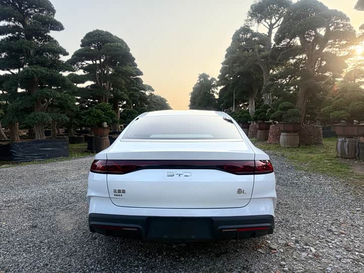 Фото 8 - BYD Qin L