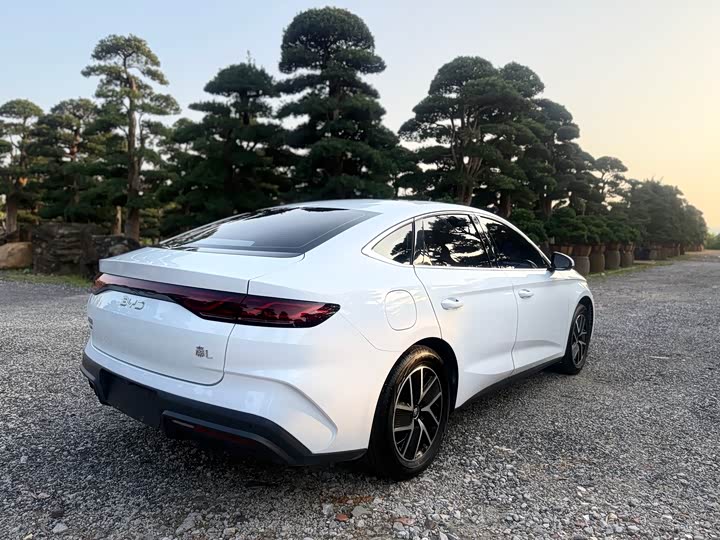 Фото 9 - BYD Qin L