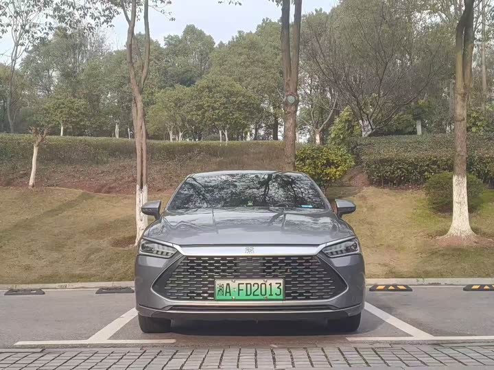 Фото 2 - BYD Qin Plus