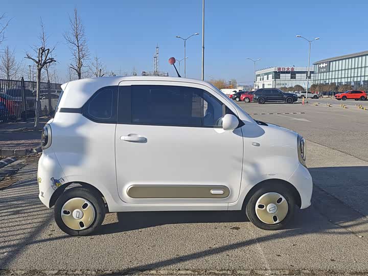 Фото 4 - Bestune Pony