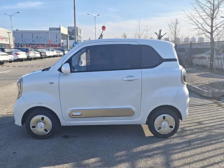 Фото 8 - Bestune Pony