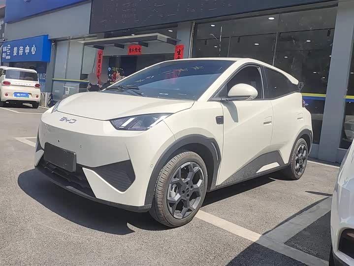 Фото 1 - BYD Seagull