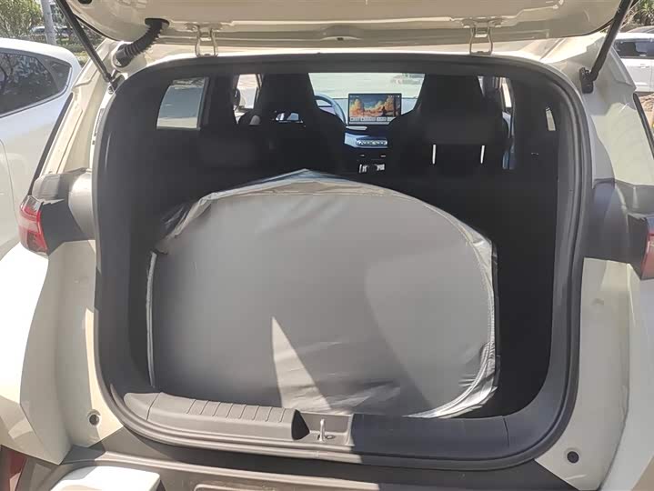 Фото 4 - BYD Seagull