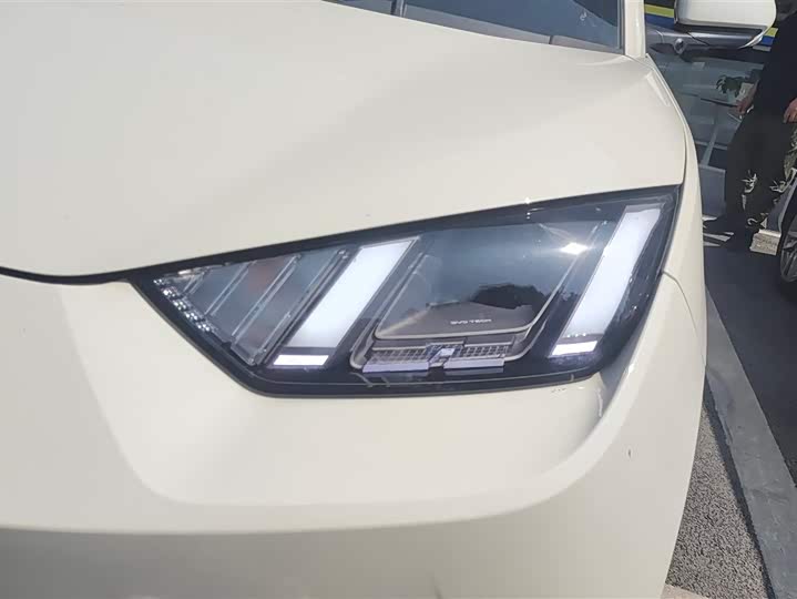 Фото 5 - BYD Seagull