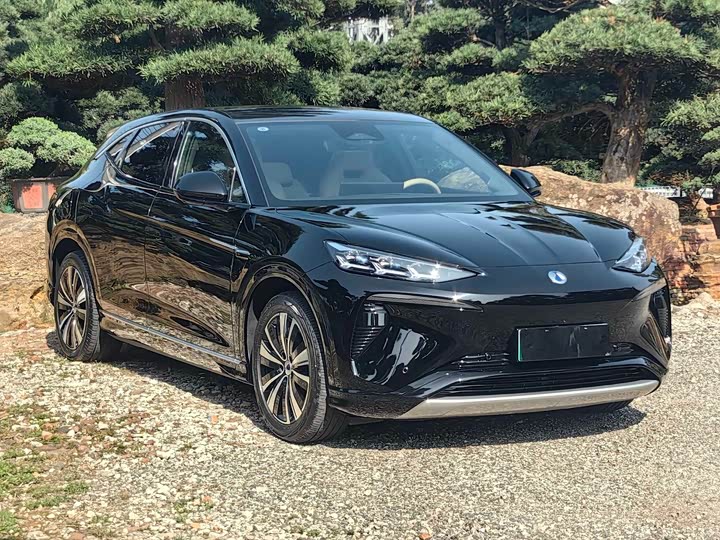 Фото 3 - Denza N7