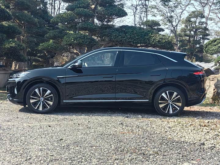 Фото 5 - Denza N7