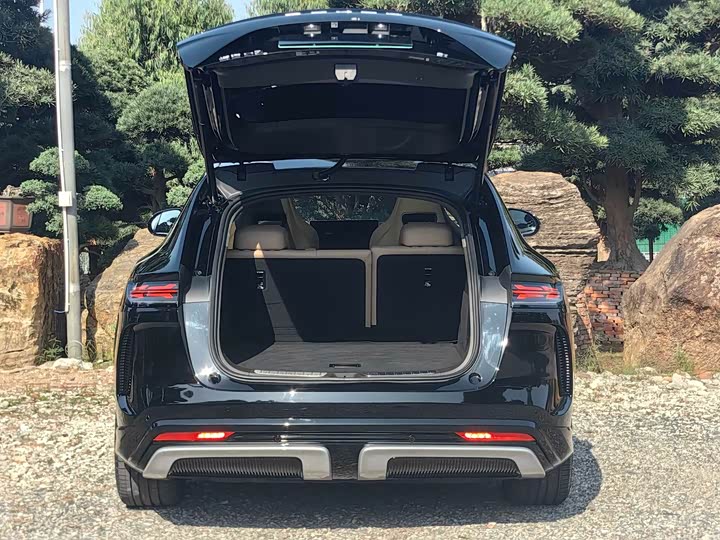 Фото 6 - Denza N7