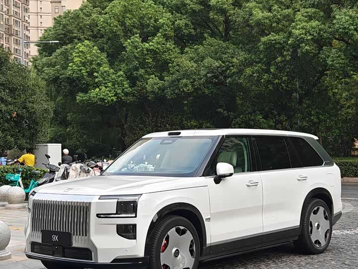 Фото 1 - Zeekr 9X