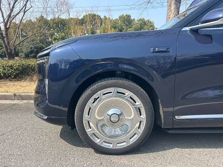 Фото 5 - IM motors LS9